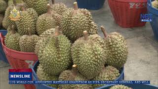 TAT launches durian expo