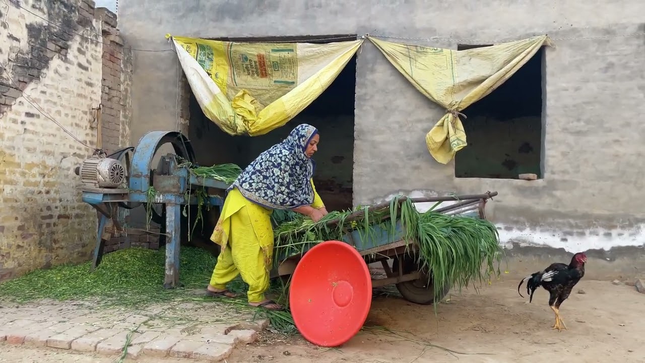 ਅੱਜ ਤਾ ਆਹ 😧 ਕੀ ਪੁੱਠਾ ਕੰਮ ਹੋ ਗਿਆ 