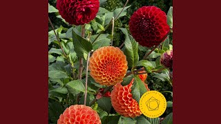 Symphony No. 10 in E Minor, Op. 93: II. Allegro