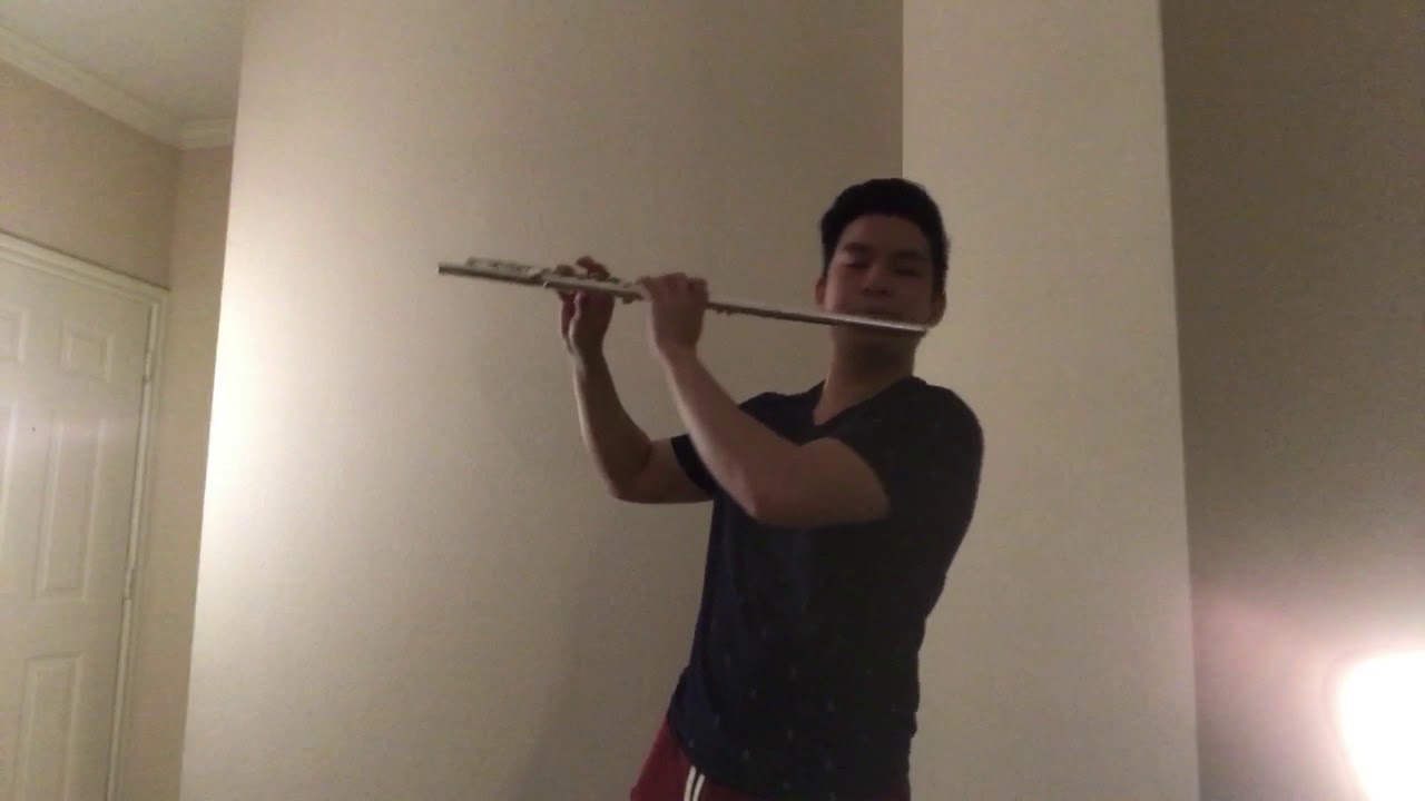 Ellie Goulding - The Writer - Flute Cover