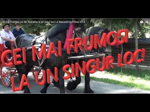 Cei Mai Frumosi Cai Din Romania La Un Sigur Loc La Manastirea Putna 2014 Youtube
