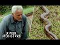Jeremy Wade Catches A 12-foot Anaconda Snake With His Hands! | River Monsters
