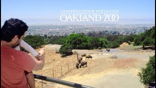 California trail at oakland zoo (july 12, 2018)