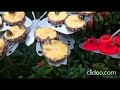 Butterfly Garden, Singapore - Ginger's Travels