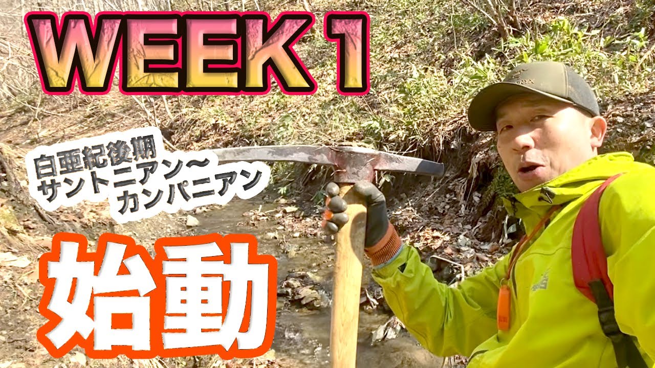 【S6】WEEK1  新たな化石を見つけるぞ！！！シーズン開始しました。