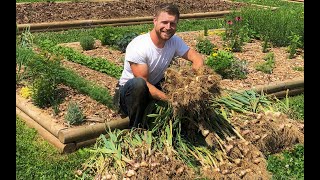 How to Grow, Harvest, & Cure Softneck Garlic screenshot 1