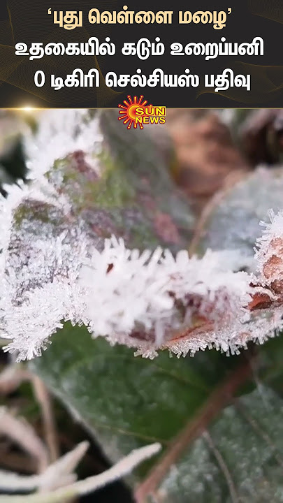 Download lagu Ooty | Climate Change | Snow fall | Heavy Cold Weather | Sun News