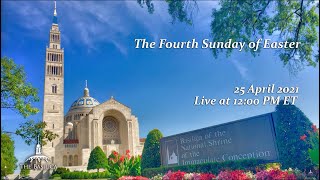 Fourth Sunday of Easter - April 25, 2021