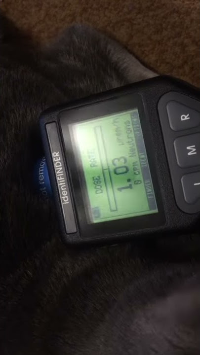 Cats are radioactive. Confirmed with Identifinder RIID