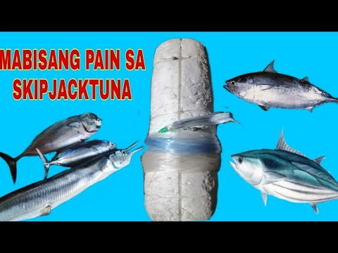 Video: Anong Pain Ang Gagamitin Para Sa Paghuli Ng Crian Carp