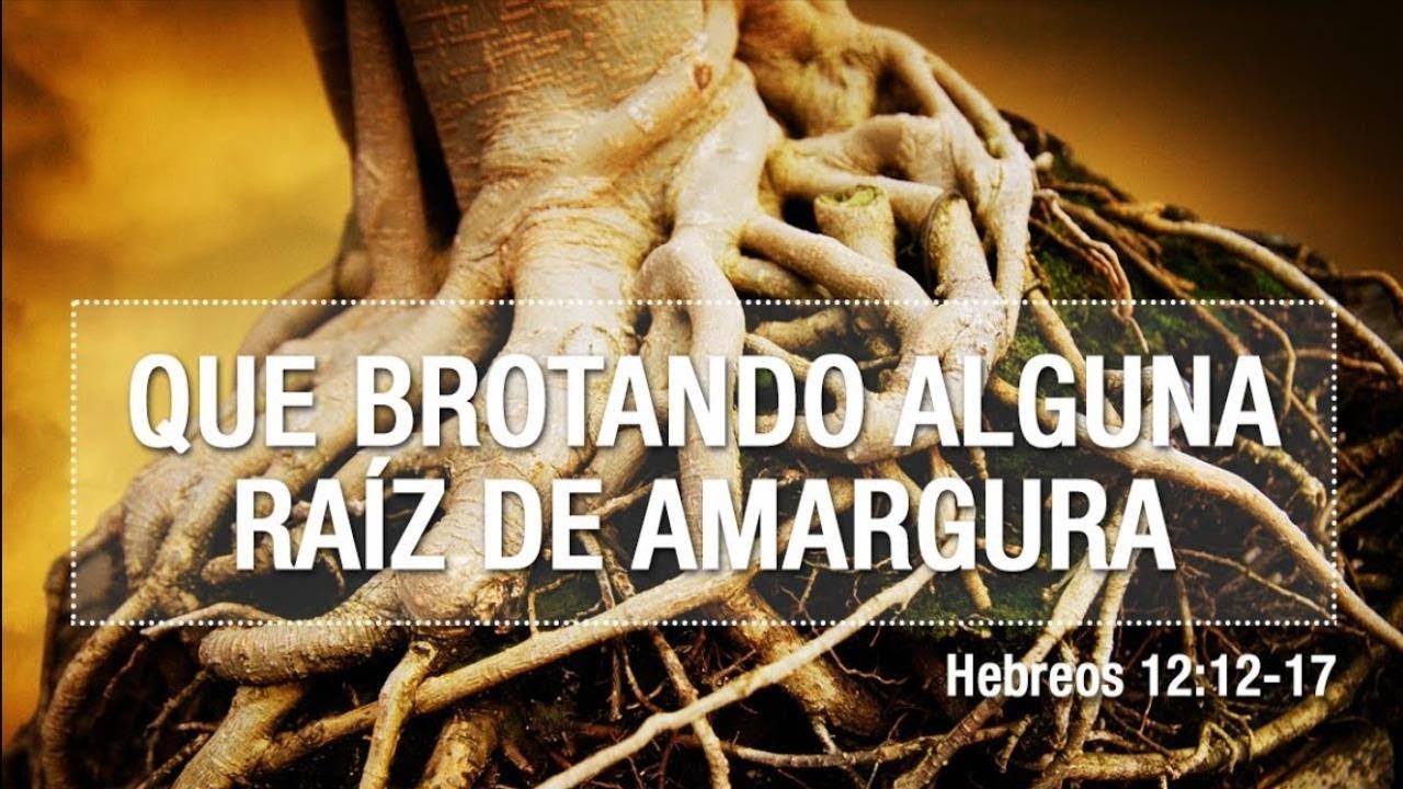 RA CES DE AMARGURA YouTube ra-ces-de-amargura-youtube