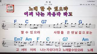 Video thumbnail of "자유/안치환💋노래방, 통기타 , 코드 큰악보,  가라오케, 반주💖Karaoke, Sheet Music, Chord, MR"