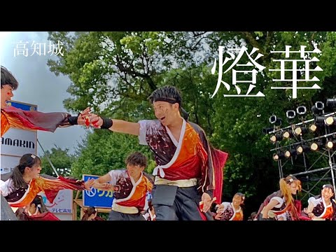香川大学よさこい連風華 第70回よさこい祭り 高知城演舞場 2023年度演舞『燈華』