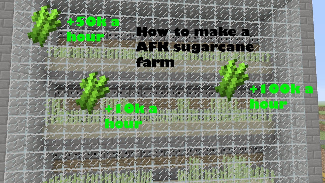 How To Build a AFK Sugar Cane farm In Minecraft ( Make 10k+ a Hour ...