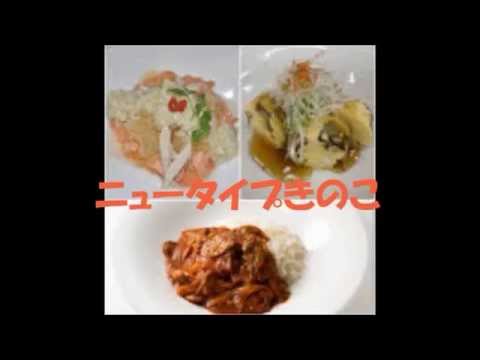 『北海道×ＨＧＵ．ｃｈ（vol.15）』ニュータイプきのこを食べよう