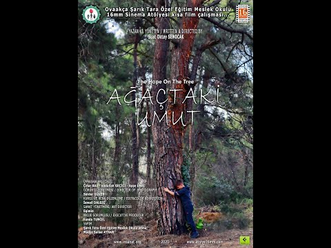 Ağaçtaki Umut /