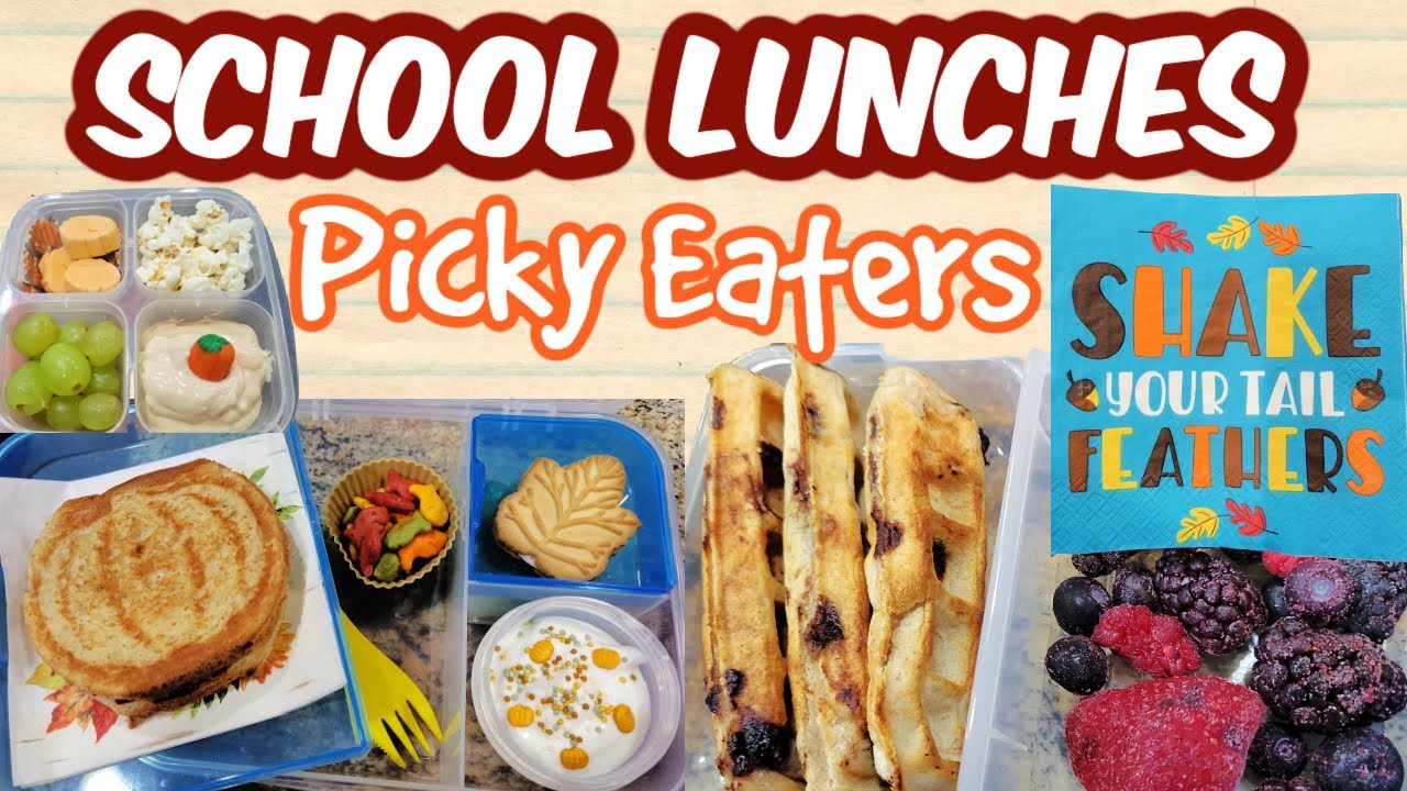 BACK TO SCHOOL LUNCHES PICKY EATERS | | NICOLE BURGESS LUNCHBOX - YouTube