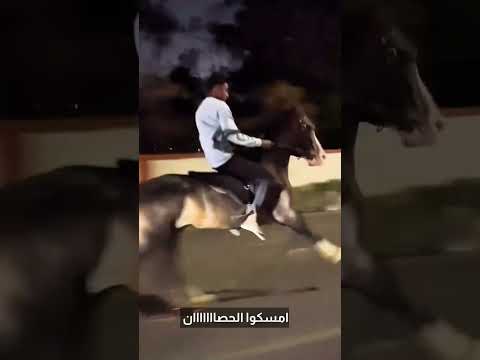 امسكواااا الحصااااااان ياناااس