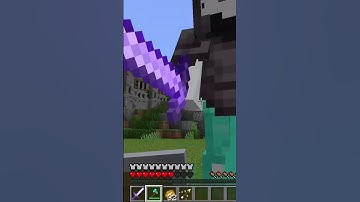 Java Axe and Sword Duel #minecraft #duels