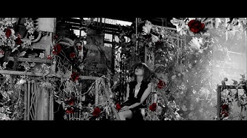 LiSA "ASH" MUSiC CLiP ("Fate/Apocrypha" Part 2 Opening Theme Song)