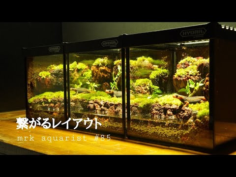 トカゲリウム　イモリウム　ポ hqdefault.jpg
