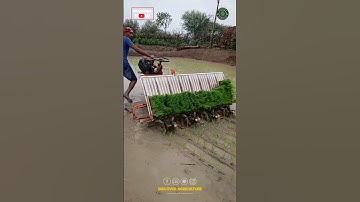 Amazing Rice Planting Machine