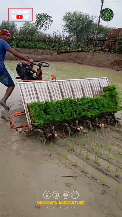 Amazing Rice Planting Machine