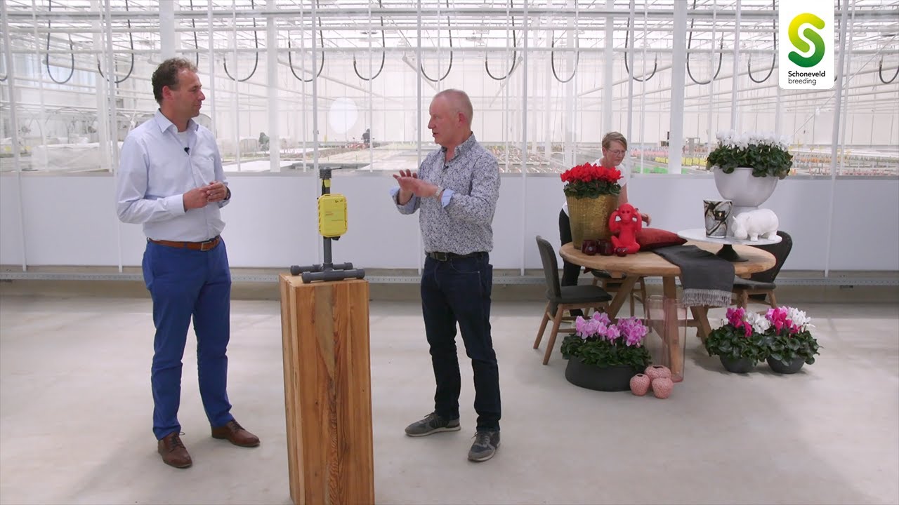 Plant more value 2021 (ENG)