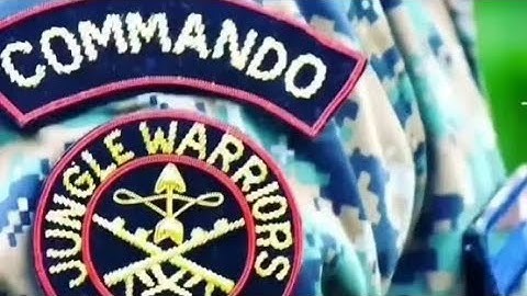 CRPF Cobra Commando 🥷 Duty Videos/CRPF Status ❤️