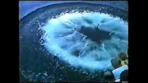 Toroidal Vortex - Empathy