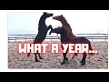 A year to never forget... or is it... Thank you! | Friesian Horses