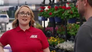 TOOLE'S ACE HARDWARE -  WeHaveTheKnowHow v1