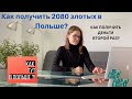 Финансовая помощь для иностранцев. Компенсация 2080 злотых в Польше. Tarcza Antykryzysowa 2020