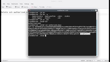 Delete SSH Authorized Keys from Linux server