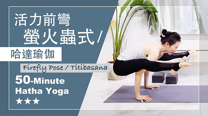 50分鐘 哈達瑜伽【活力前彎//螢火蟲式】Hatha Yoga ★ ★ ★ #titibasana #瑜珈教學 #中文瑜伽教學 - 天天要聞