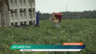 As ICE Raids Continue, Could the Immigration and Ag Labor Crisis Get a Fix in 2026?