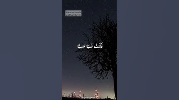 قالت يا ليتني مت قبل هذا وكنت نسيآ منسيا❤القارئ محمد صديق المنشاوي حالات واتس اب