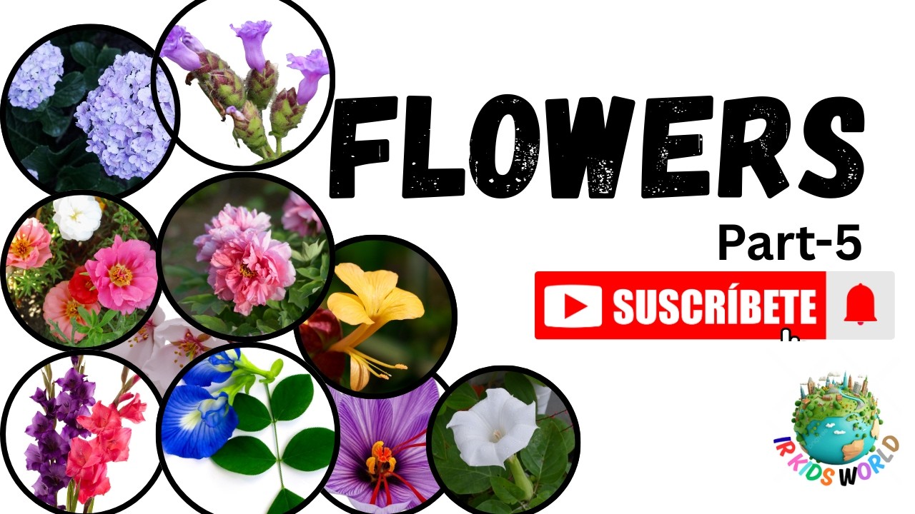 Flowers Name (Part-5) | Learn Flowers Name in English & Uses | 10 Flowers Name | IR KIDS WORLD
