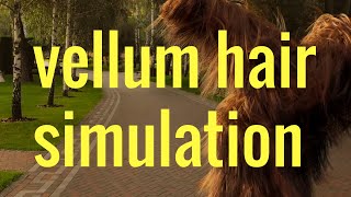 Celebrity vellum hair simulation tutorial houdini Net Worth