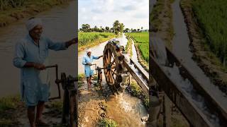 बाल्टी और पहिए का कमाल! 😲 बिना बिजली ऐसे होती है असली देसी सिंचाई 🌊 #DesiJugaad #IndianFarmer #ai