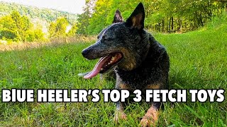 3 BEST Fetch Toys for your Australian Cattle Dog