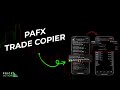 Pafx trade copier   automated trading solution instant and flawless