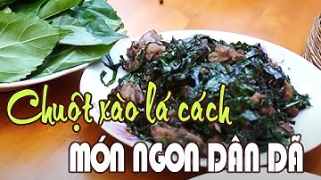Chuột xào lá cách: Món ăn dân dã nhưng là đặc sản của người miền Tây | MIỀN TÂY XƯA