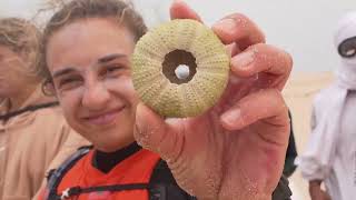 Dakhla downwind challenge day 5 lamhiriz and boarder 