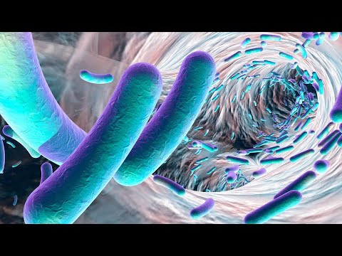 C. difficile-ലെ വ്യത്യാസം കാണുക