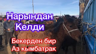 картинка: Токмок мал Базары оспурум Тайлар , Кунандардын Нак Баалары 06.02.22