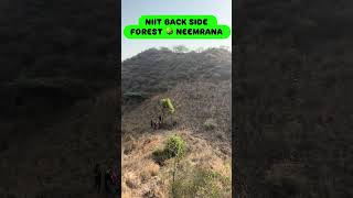 NIIT Neemrana ka forest visit kiya