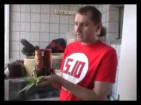 Видео: Гювеч с извара с ананас
