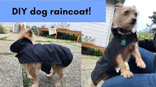 How to sew a raincoat for a dog.  Upcycling an umbrella into a raincoat!