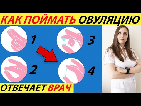 ЧТО ТАКОЕ ОВУЛЯЦИЯ, КАК ОПРЕДЕЛИТЬ (ТЕСТ)! НА КАКОЙ ДЕНЬ ЦИКЛА ПРОИСХОДИТ, РАССЧИТАТЬ СКОЛЬКО ДЛИТСЯ